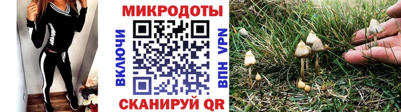 Галлюциногенные грибы GOLDEN TEACHER  закладка  kraken ONION  Электросталь 